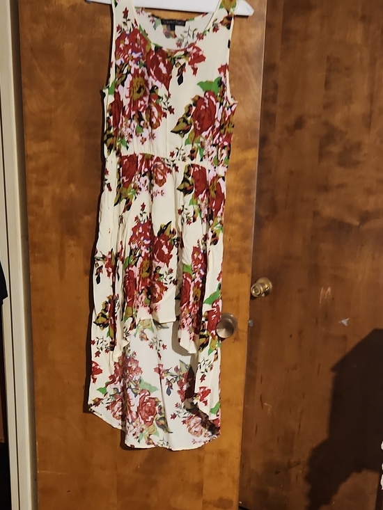 Wishful Park Dresses & Skirts - Wishful Park Cream High-Low Dress with Red & Green Floral Print